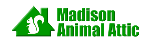Madison
 Animal Attic